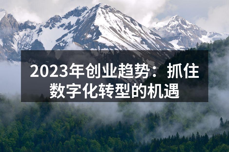2023年创业趋势：抓住数字化转型的机遇